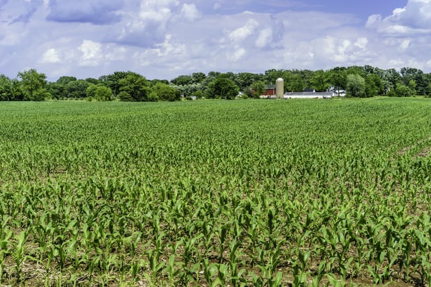 Pairwise on the Fresh Takes on Tech Podcast: Technology's Critical Role in Produce